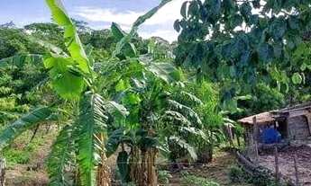 Imagem 5: CHÁCARA NA ESTRADA PARA VALADARES