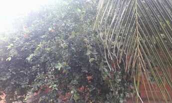 Imagem 6: Alugo uma casa no Bairro do Grilo,Caucaia