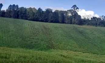 Imagem 5: Lote/Terreno para venda tem 500 metros quadrados em Jardim Japão (Caucaia do Alto) - Cotia