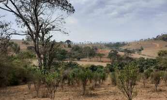 Imagem 2: Terreno Chácara Sítio