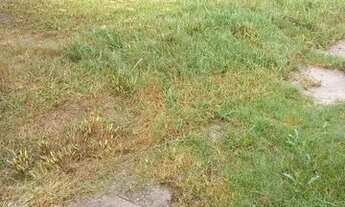 Imagem 7: Casa para venda com 80 metros quadrados em Vila João Pessoa - Porto Alegre - Rio Grande do