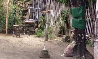 Imagem 7: Casa com dois conpatimento