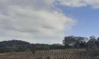 Imagem 4: Terreno Chácara Sítio