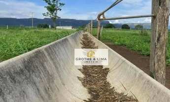 Imagem 7: Vendo fazenda de dupla aptidão à venda no município de Monte do Carmo/TO