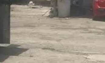 Imagem 3: Terreno à venda, 1888 m² por R$ 4.500.000,00 - Parque Boturussu - São Paulo/SP