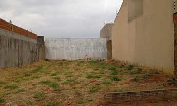 Imagem: Terreno Padrão em São José do Rio Preto
