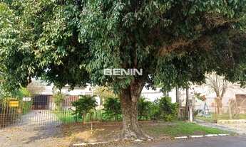 Imagem 2: Área/Lote/Terreno em Igara. Área/Lote/Terreno em Igara