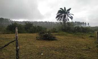 Imagem 5: Terreno 20x30 localizado na Capoeira Alagoinhas