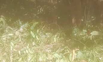 Imagem: Lotes de 300 mts