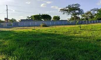 Imagem 3: ÁREA 34.272 M². ESTRADA DO BREJO GRANDE