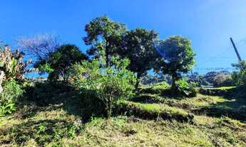 Imagem 5: Terreno para Venda em Nova Petrópolis, Vila Olinda