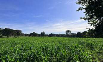 Imagem: Fazenda 43 alqueires