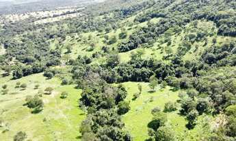 Imagem: Fazenda para cria de gado, Marzagão Go