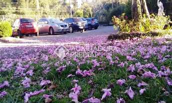 Imagem: Terreno no bairro Piá