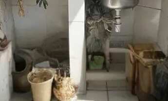 Imagem 3: Vendo oportunidade