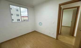 Imagem 7: Alugo Apartamento com 02 dormitórios, 01 banheiro, sala, cozinha com área de serviço, 01 v