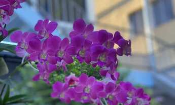 Imagem 4: Kitnet mobiliada com tudo incluso