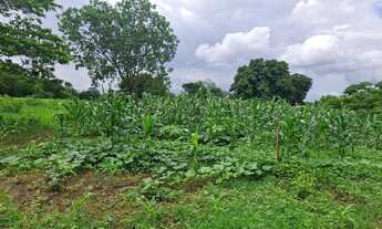 Imagem 5: Vendo excelente sítio as margens do São Francisco