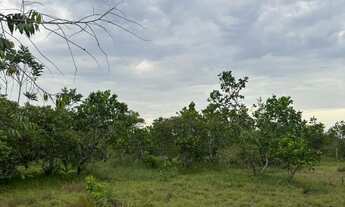 Imagem 4: Fazenda Em Couto Nagalhães