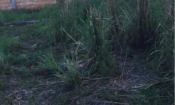 Imagem 5: Lote morro da cruz São Sebastião