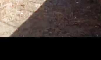 Imagem 2: Casa na Santa Maria das Vassouras