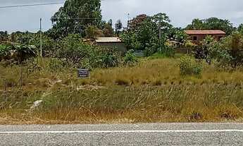 Imagem 5: Terreno próximo a Lagoa dos Tambaquis