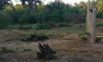 Imagem 3: Terreno para sitio