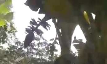 Imagem 7: Terra chapada Gaúcha