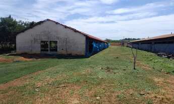 Imagem 6: 5 alqueires em Elias Fausto