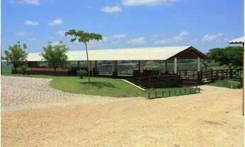Imagem 6: Fazenda em São Pedro