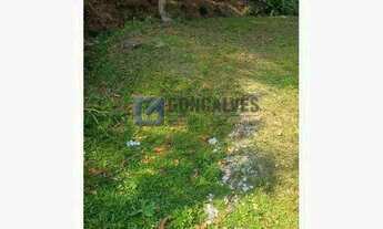 Imagem 6: Terreno Comercial de 350,83 m² em Ribeirão Pires (Colônia) Ótima Oportunidade