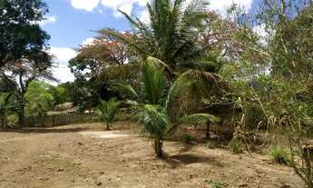 Imagem 2: Sitio borborema-PB