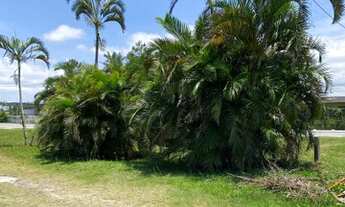 Imagem 2: Aluguel de Casa na Praia - Matinhos