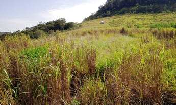 Imagem 7: Fazenda 172 alqueires rica em água negociável