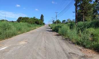 Imagem 3: Terreno Industrial 8000m2 Colombo Paraná