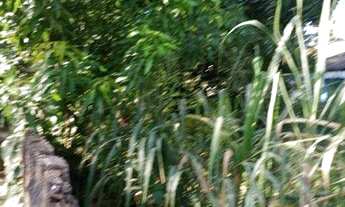 Imagem 5: Terreno à venda, 2178 m² por R$ 2.500.000,00 - Campinho - Rio de Janeiro/RJ