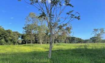 Imagem 6: Fazenda de luxo 36ha toda formada, lagoa de peixes, córrego, poço artesiano, Jaboticatubas