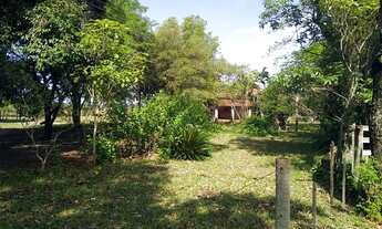 Imagem 5: Fazenda de 200 alqueires na região de Presidente Prudente dupla aptidão terra de cultura