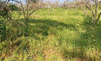 Imagem 4: Terreno à venda, 2606 m² - Cônego - Nova Friburgo/RJ