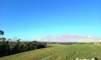 Imagem 5: Chácara à venda com 2 dormitórios em Centro, Lapa cod:827