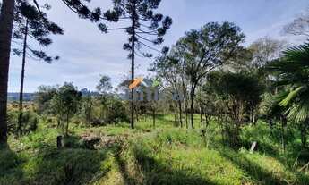 Imagem 5: Terreno, Campo Alegre/SC