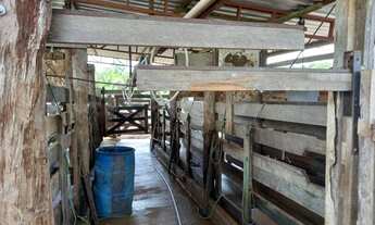 Imagem 3: SÍTIO DE 42 ALQUEIRES THEOBROMA