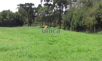 Imagem 6: Chácara - CAMPO ALEGRE/SC