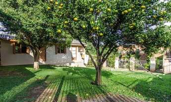 Imagem 3: TERRENO COM CASA - VILA LUIZA