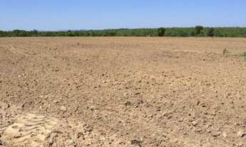 Imagem 6: FAZENDA 5000 Hectares em Palmas TO