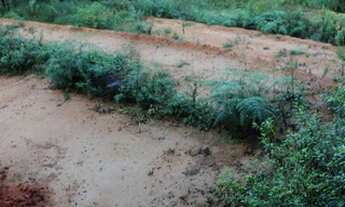 Imagem 2: Terreno Chácara - 1000m²