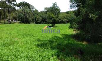 Imagem 2: Chácara - CAMPO ALEGRE/SC