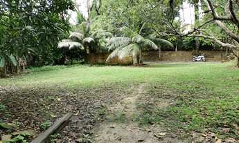 Imagem 4: Terreno / 1.200m² / Bairro Flores