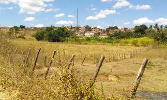 Imagem 7: Área no Centro de São Miguel medindo 14.790 m2 - R$380.000,00 whatsapp:9.9416.1934