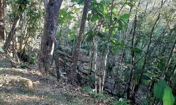 Imagem 3: Terreno Rural Santo Amaro da Imperatriz